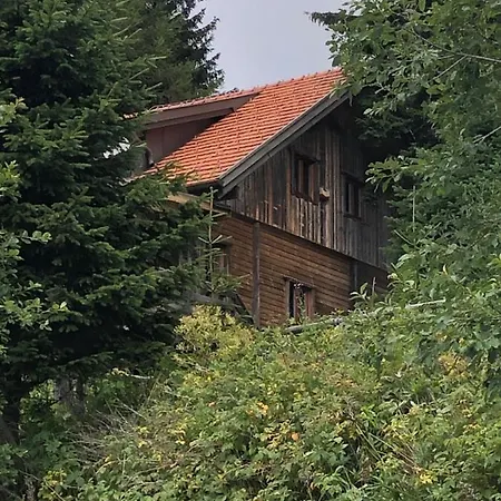Haus Hanna Holiday home *